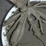 Kako čuvati dalije u stanu